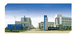 國(guó)內(nèi)電永磁技術(shù)研發(fā)者